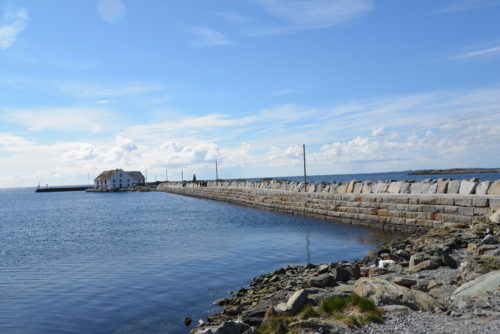 Fysisk fostring i eget tempo