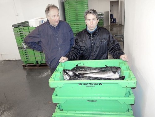 Daglig leder Onar Myhre og Harald Bredahl i K-Fisk