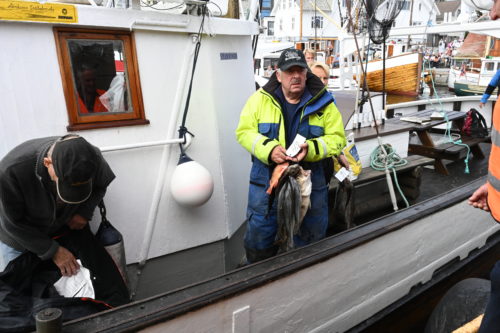 Resultater Fiskekonkurransen på Fiskeridagene 2019